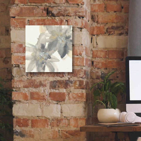 Image of 'Gray And Silver Flowers II' by Chris Paschke, Giclee Canvas Wall Art,12 x 12