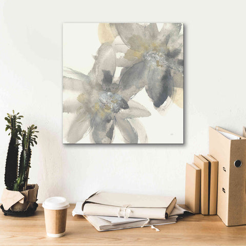 Image of 'Gray And Silver Flowers II' by Chris Paschke, Giclee Canvas Wall Art,18 x 18