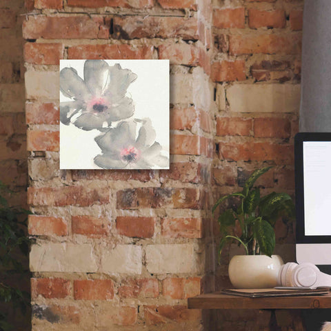 Image of 'Gray Blush Cosmos I' by Chris Paschke, Giclee Canvas Wall Art,12 x 12