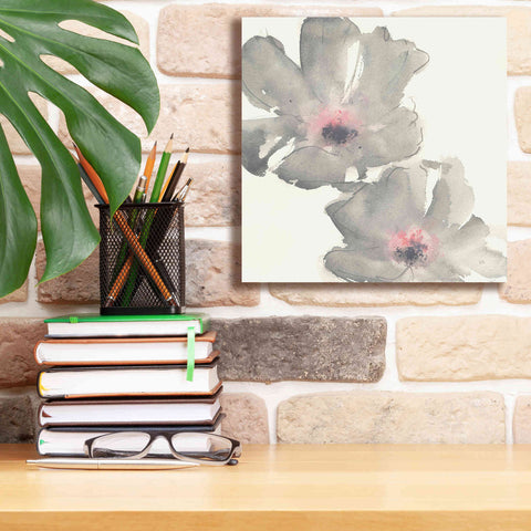 Image of 'Gray Blush Cosmos I' by Chris Paschke, Giclee Canvas Wall Art,12 x 12