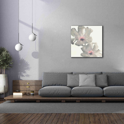 Image of 'Gray Blush Cosmos I' by Chris Paschke, Giclee Canvas Wall Art,37 x 37