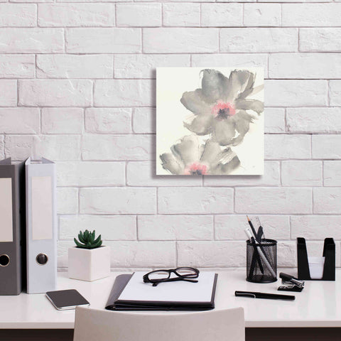 Image of 'Gray Blush Cosmos II' by Chris Paschke, Giclee Canvas Wall Art,12 x 12