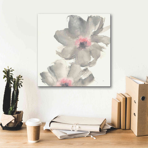 Image of 'Gray Blush Cosmos II' by Chris Paschke, Giclee Canvas Wall Art,18 x 18
