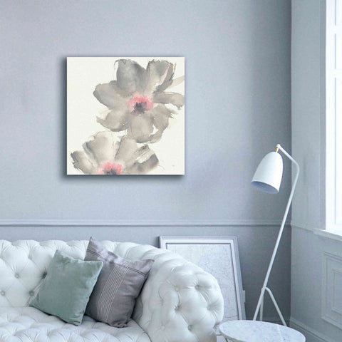 Image of 'Gray Blush Cosmos II' by Chris Paschke, Giclee Canvas Wall Art,37 x 37