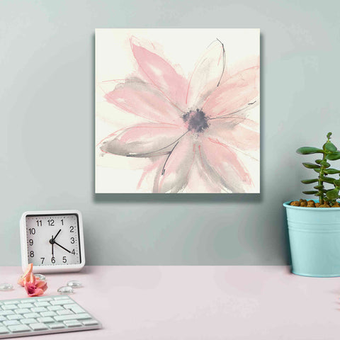 Image of 'Blush Clematis I' by Chris Paschke, Giclee Canvas Wall Art,12 x 12
