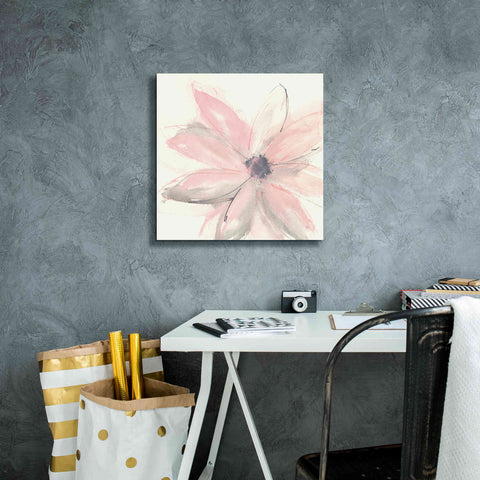 Image of 'Blush Clematis I' by Chris Paschke, Giclee Canvas Wall Art,18 x 18