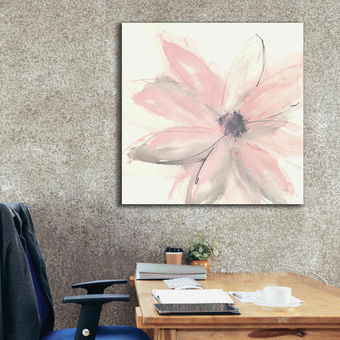 Image of 'Blush Clematis I' by Chris Paschke, Giclee Canvas Wall Art,37 x 37