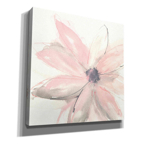 Image of 'Blush Clematis I' by Chris Paschke, Giclee Canvas Wall Art
