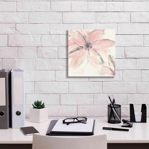 Image of 'Blush Clematis II' by Chris Paschke, Giclee Canvas Wall Art,12 x 12