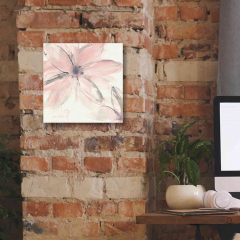 Image of 'Blush Clematis II' by Chris Paschke, Giclee Canvas Wall Art,12 x 12