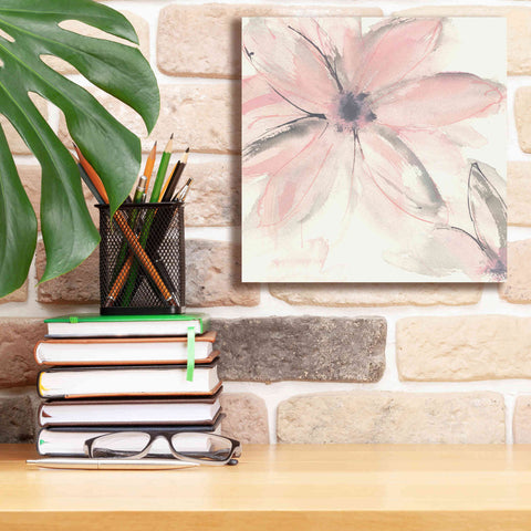 Image of 'Blush Clematis II' by Chris Paschke, Giclee Canvas Wall Art,12 x 12