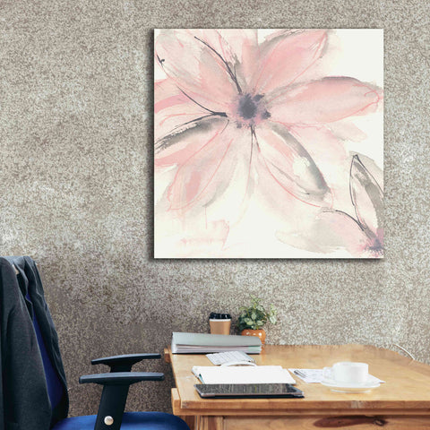 Image of 'Blush Clematis II' by Chris Paschke, Giclee Canvas Wall Art,37 x 37