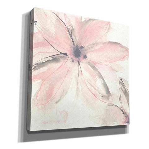 Image of 'Blush Clematis II' by Chris Paschke, Giclee Canvas Wall Art