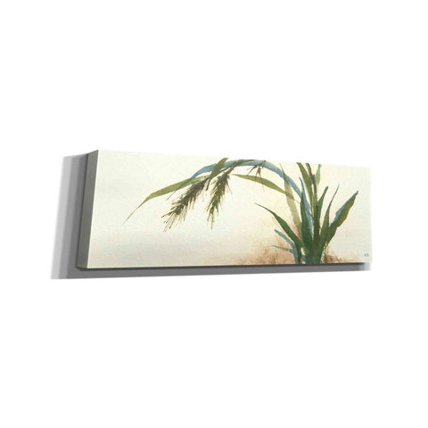 Image of 'Horizontal Grass II' by Chris Paschke, Giclee Canvas Wall Art