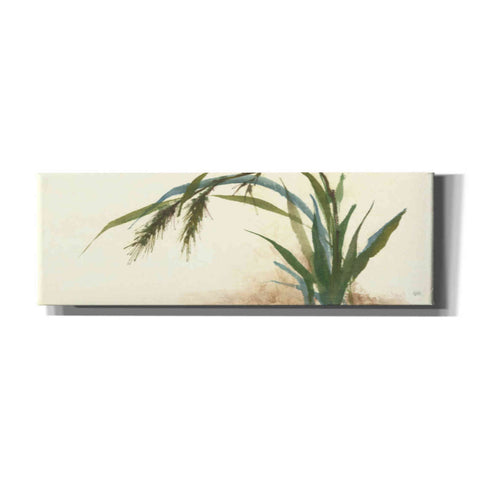 Image of 'Horizontal Grass II' by Chris Paschke, Giclee Canvas Wall Art