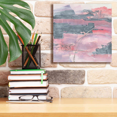 Image of 'Whitewashed Blush II' by Chris Paschke, Giclee Canvas Wall Art,12 x 12