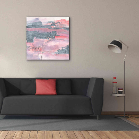 Image of 'Whitewashed Blush II' by Chris Paschke, Giclee Canvas Wall Art,37 x 37