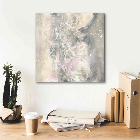 Image of 'Blushing Snowflakes I' by Chris Paschke, Giclee Canvas Wall Art,18 x 18