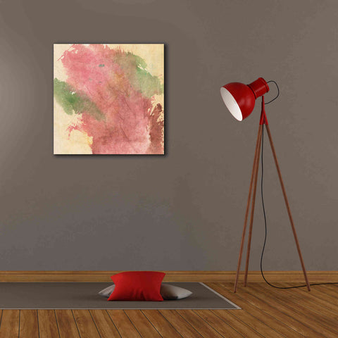 Image of 'Rouge Growth I' by Chris Paschke, Giclee Canvas Wall Art,26 x 26