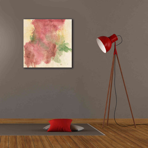 Image of 'Rouge Growth II' by Chris Paschke, Giclee Canvas Wall Art,26 x 26