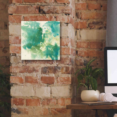 Image of 'Mossy Rock I' by Chris Paschke, Giclee Canvas Wall Art,12 x 12