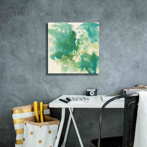 Image of 'Mossy Rock I' by Chris Paschke, Giclee Canvas Wall Art,18 x 18