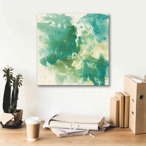 Image of 'Mossy Rock I' by Chris Paschke, Giclee Canvas Wall Art,18 x 18