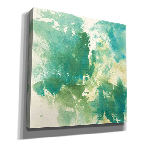 Image of 'Mossy Rock I' by Chris Paschke, Giclee Canvas Wall Art