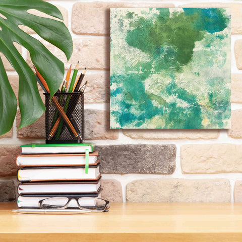 Image of 'Mossy Rock II' by Chris Paschke, Giclee Canvas Wall Art,12 x 12