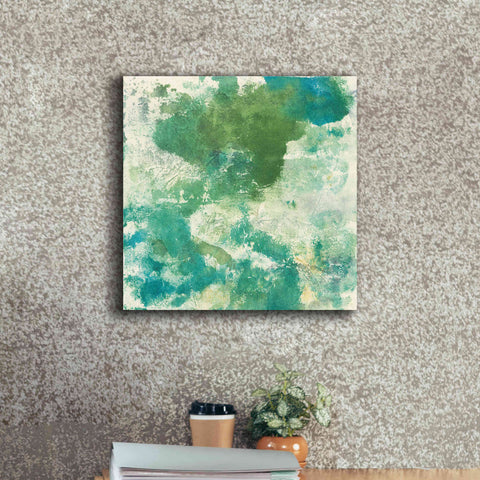 Image of 'Mossy Rock II' by Chris Paschke, Giclee Canvas Wall Art,18 x 18