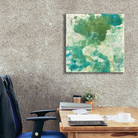 Image of 'Mossy Rock II' by Chris Paschke, Giclee Canvas Wall Art,26 x 26