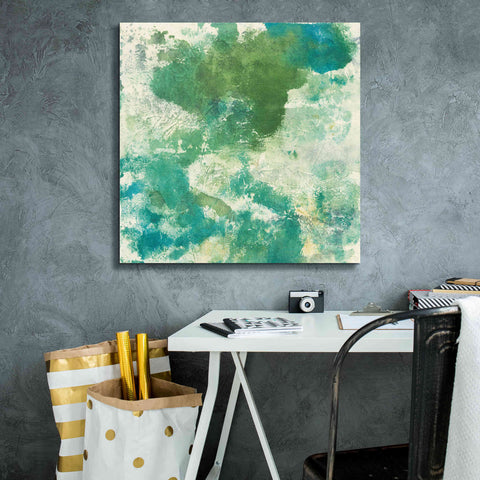 Image of 'Mossy Rock II' by Chris Paschke, Giclee Canvas Wall Art,26 x 26