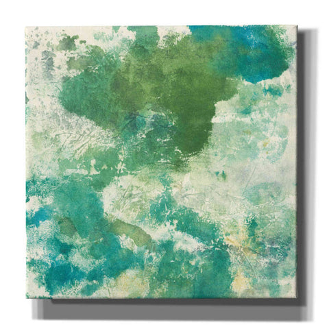 Image of 'Mossy Rock II' by Chris Paschke, Giclee Canvas Wall Art