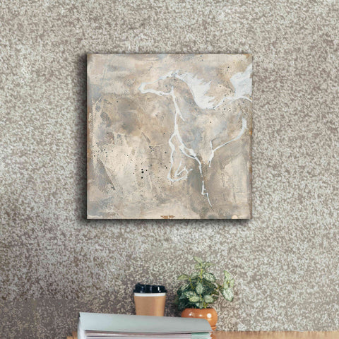 Image of 'White Horse II' by Chris Paschke, Giclee Canvas Wall Art,18 x 18