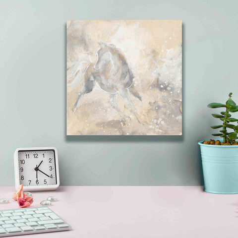 Image of 'Grey Horse I' by Chris Paschke, Giclee Canvas Wall Art,12 x 12