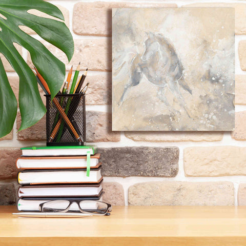 Image of 'Grey Horse I' by Chris Paschke, Giclee Canvas Wall Art,12 x 12