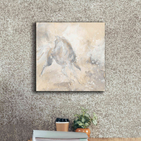 Image of 'Grey Horse I' by Chris Paschke, Giclee Canvas Wall Art,18 x 18