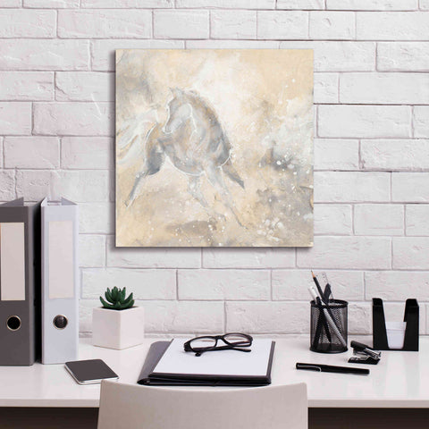 Image of 'Grey Horse I' by Chris Paschke, Giclee Canvas Wall Art,18 x 18