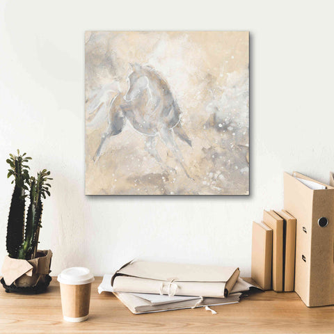 Image of 'Grey Horse I' by Chris Paschke, Giclee Canvas Wall Art,18 x 18