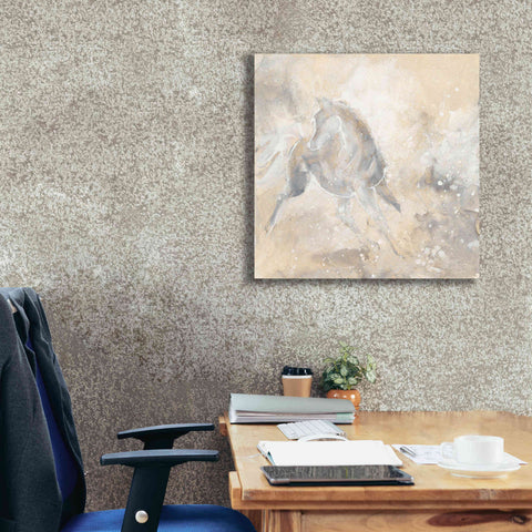 Image of 'Grey Horse I' by Chris Paschke, Giclee Canvas Wall Art,26 x 26