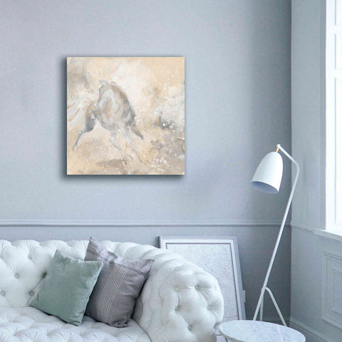 Image of 'Grey Horse I' by Chris Paschke, Giclee Canvas Wall Art,37 x 37