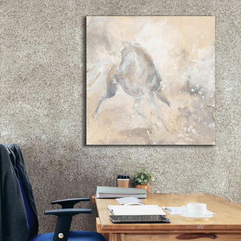 Image of 'Grey Horse I' by Chris Paschke, Giclee Canvas Wall Art,37 x 37