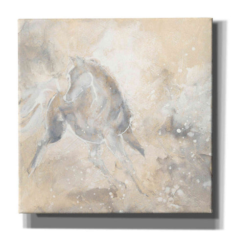 Image of 'Grey Horse I' by Chris Paschke, Giclee Canvas Wall Art