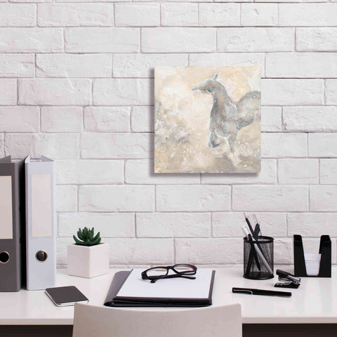 Image of 'Grey Horse II' by Chris Paschke, Giclee Canvas Wall Art,12 x 12