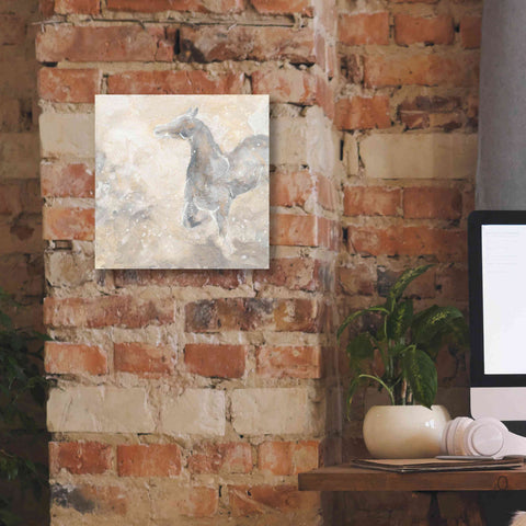 Image of 'Grey Horse II' by Chris Paschke, Giclee Canvas Wall Art,12 x 12