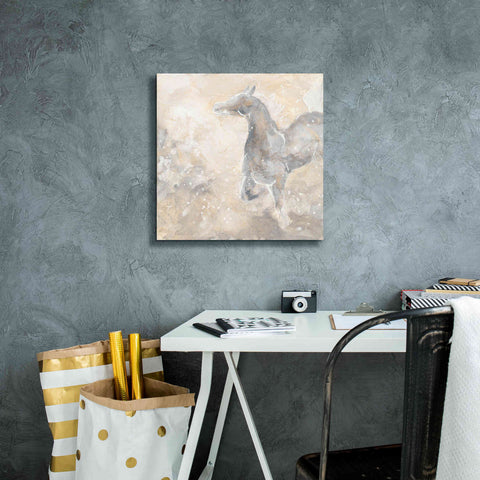 Image of 'Grey Horse II' by Chris Paschke, Giclee Canvas Wall Art,18 x 18