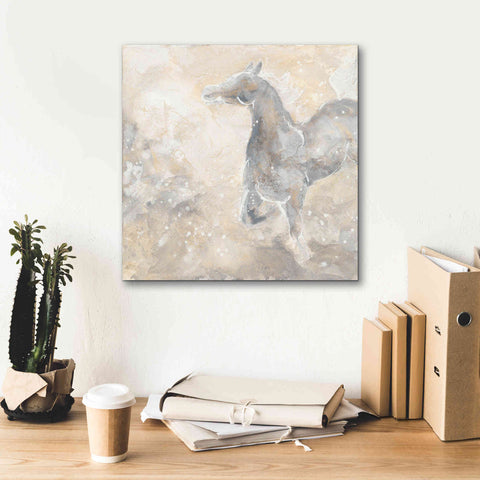 Image of 'Grey Horse II' by Chris Paschke, Giclee Canvas Wall Art,18 x 18