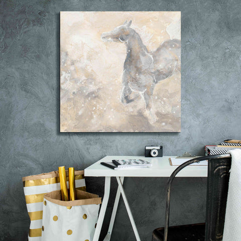 Image of 'Grey Horse II' by Chris Paschke, Giclee Canvas Wall Art,26 x 26