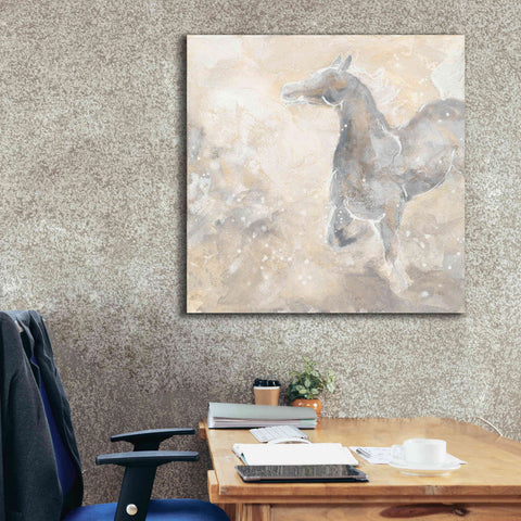 Image of 'Grey Horse II' by Chris Paschke, Giclee Canvas Wall Art,37 x 37