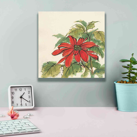 Image of 'Poinsettia I' by Chris Paschke, Giclee Canvas Wall Art,12 x 12